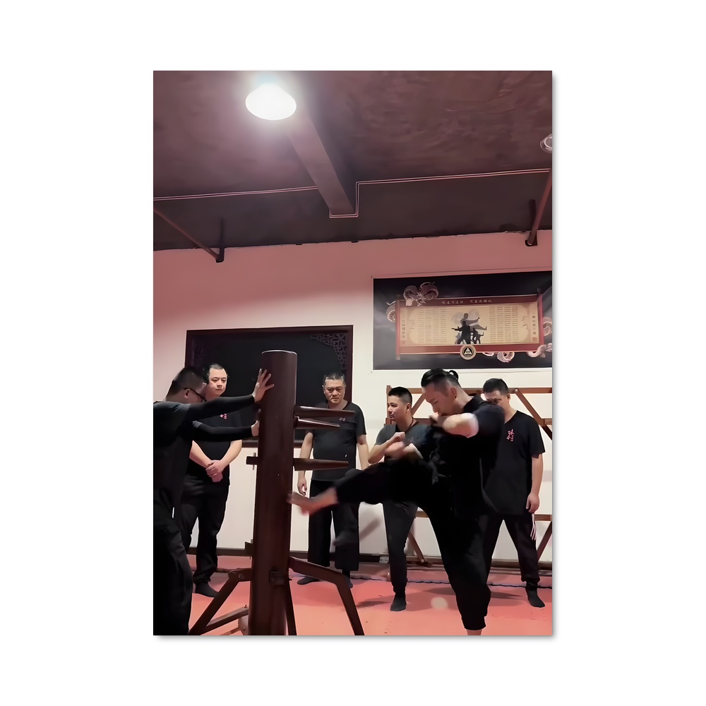 Poster Maîtres du Wing Chun